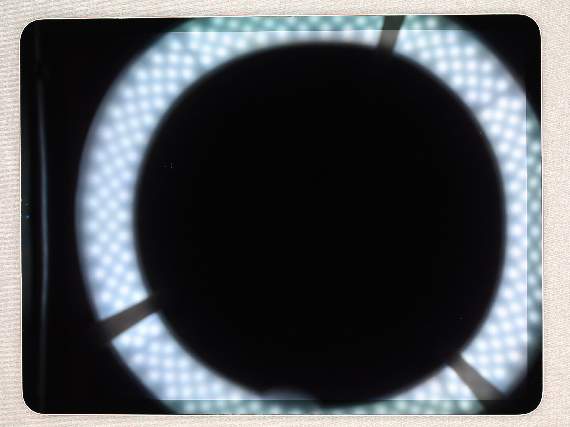 Detailbild