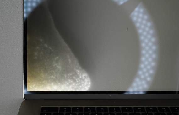 Detailbild