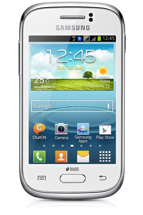 Samsung Galaxy Young S6310N weiß